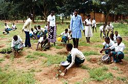 Pasning af de nyplantede træer er en del af undervisningen i skolerne. DANTAN Fremtidsskoven